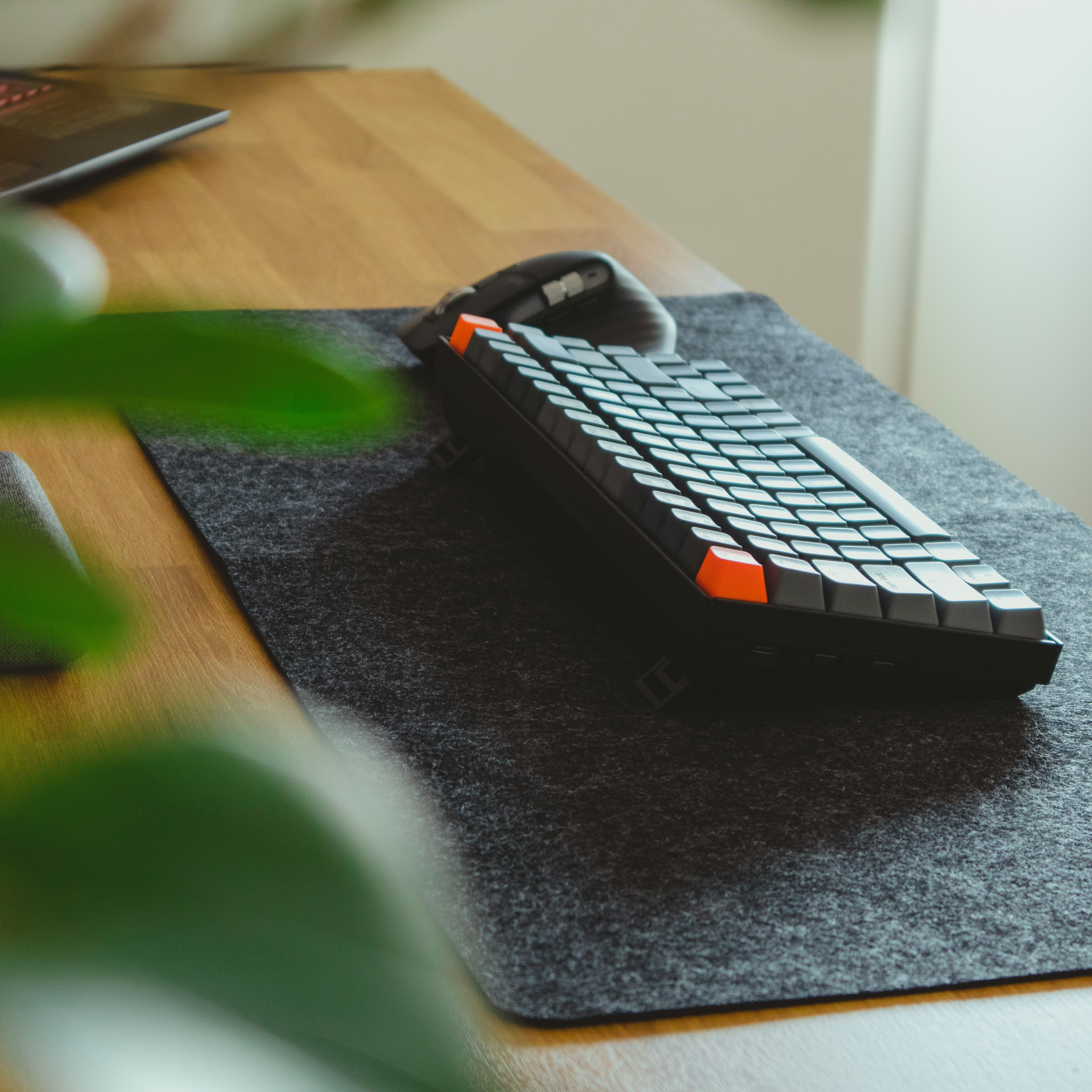 Teclado y mouse